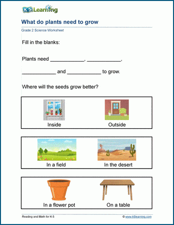 Plant needs worksheets