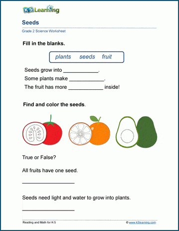 plant seeds worksheets k5 learning