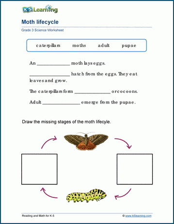 Animal Life Cycles Worksheets K5 Learning