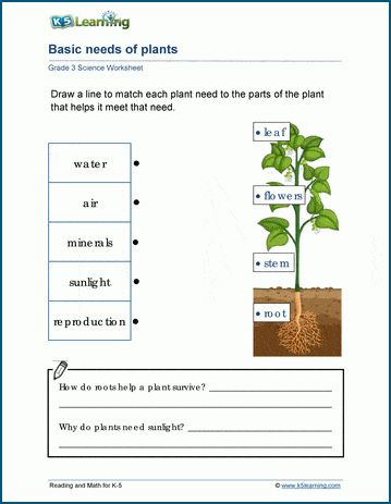 needs of living things worksheets k5 learning