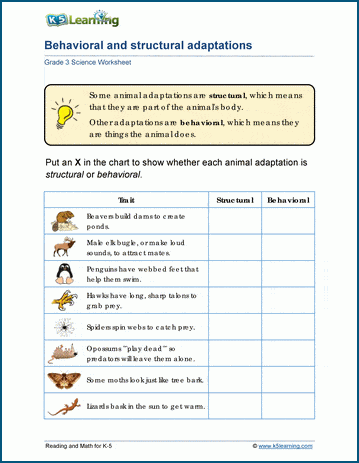 How Animals Adapt Worksheets