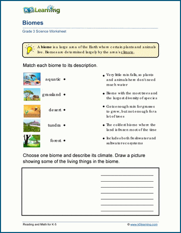 Earth biomes worksheets