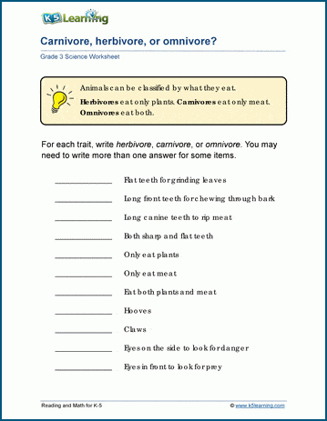 carnivore herbivore or omnivore worksheets k5 learning