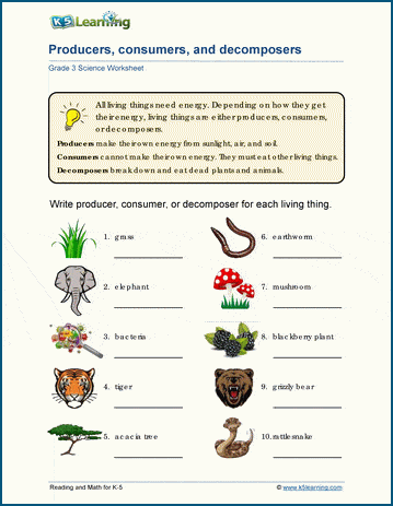 ecosytems worksheets k5 learning