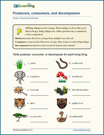 science worksheets for grade 3 students k5 learning