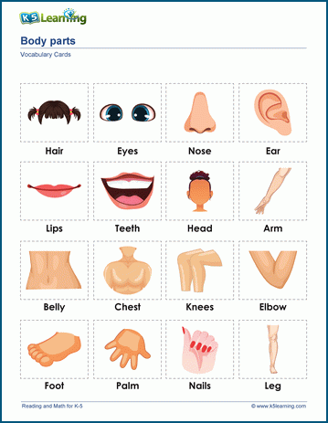 https://www.k5learning.com/worksheets/vocabulary/body-parts-words-a.gif