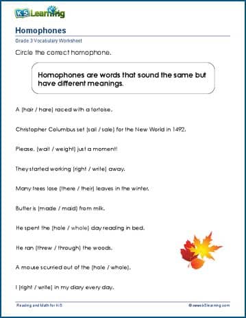 Grade 3 Vocabulary Worksheet homophones