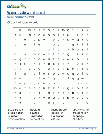 Water cycle word search